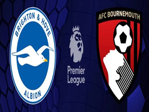 Lịch Sử và Thành Tích Đối Đầu Giữa Brighton vs Bournemouth