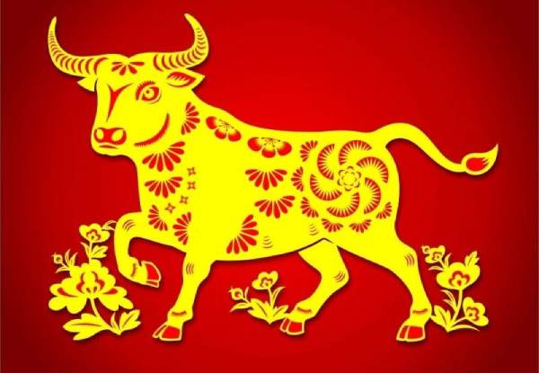 Dự đoán số phát tài tuổi Sửu 14/12/2025 gợi mở điều may lành gì?